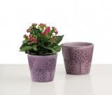 Mulberry 707/15 uebertoepfe