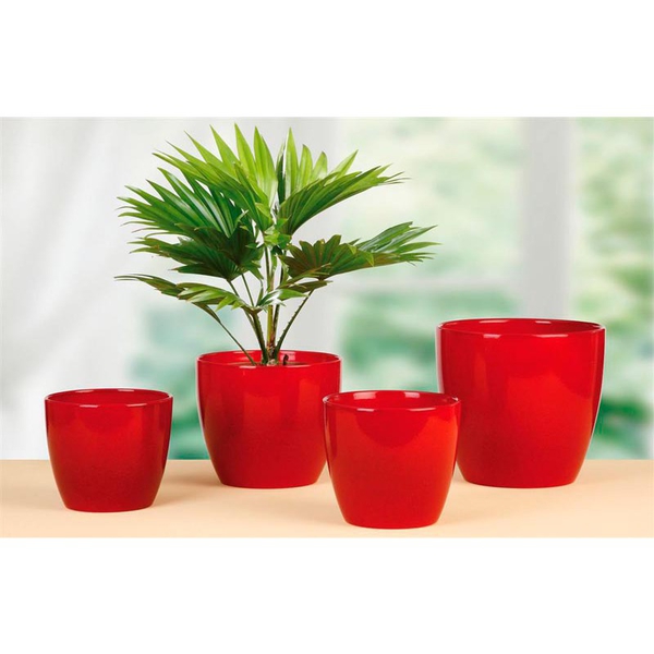 Energy red 920/16 cm