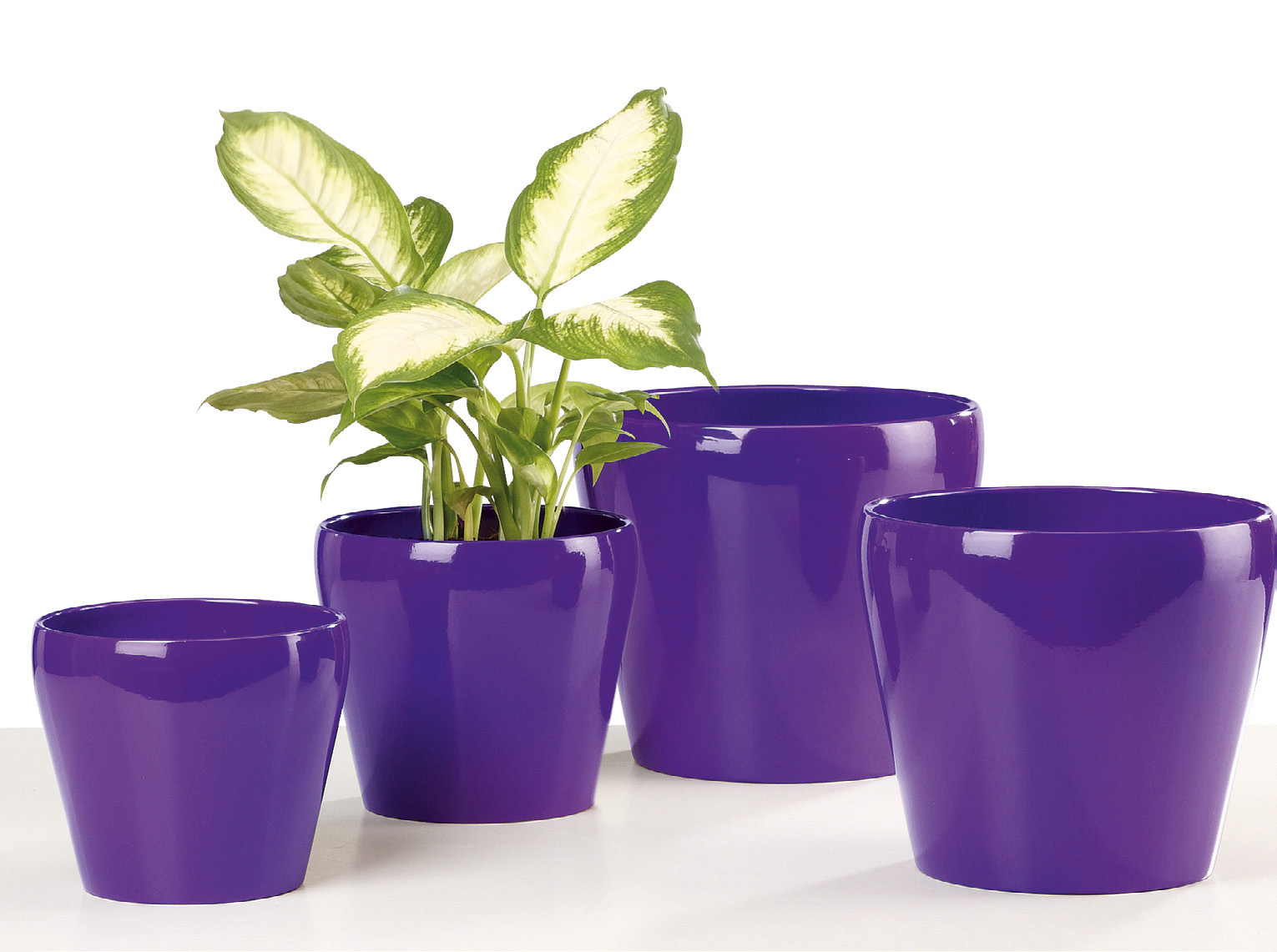 Glossy lilac 800/18 Uebertoepfe