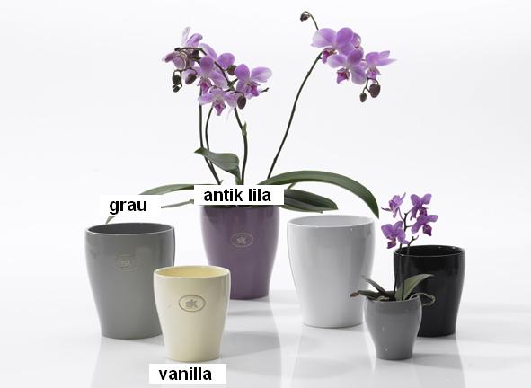 Mendoza 591/12 cm vanilla gestreift vase