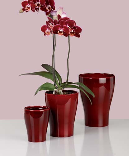 Dark red 608/22 Pflanzgefaess
