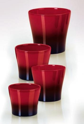 Black cherry 808/17 uebertoepfe