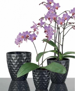 Anthrazit 632 orchideengefaess